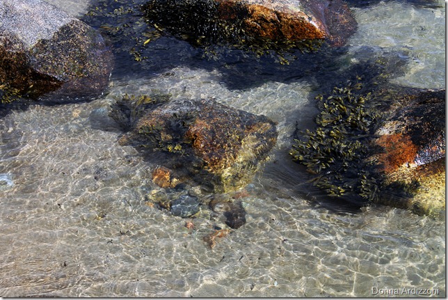 April 13, 2012 low tide at Half Moon Beach