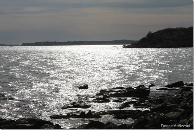 April 14, 2012 moon reflecting on Magnolia Harbor