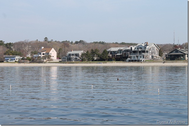 April 16, 2012 Magnolia from the pier