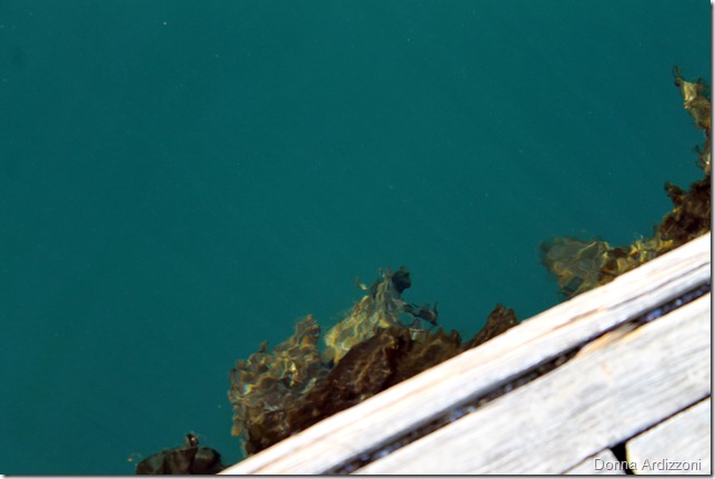 April 16, 2012what is this