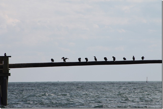 April 24, 2012 greasy pole commarants