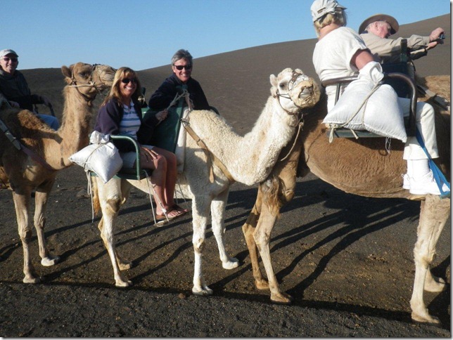 Cruise 2012 Camel Ride in Lazarote Canary Islands