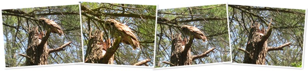 View album View album