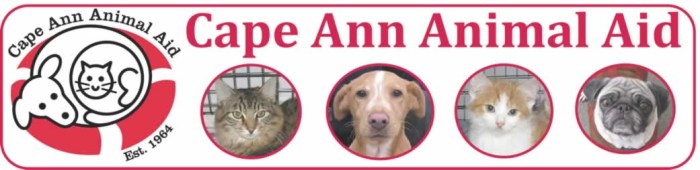 cape ann animal aid