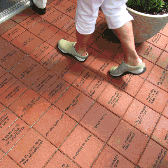 Cape ann animal aid new Christopher Cutler Rich Animal Shelter