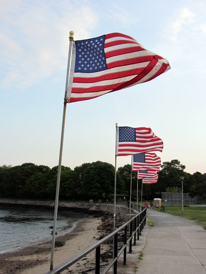 American Flags on  Stacey Blvd