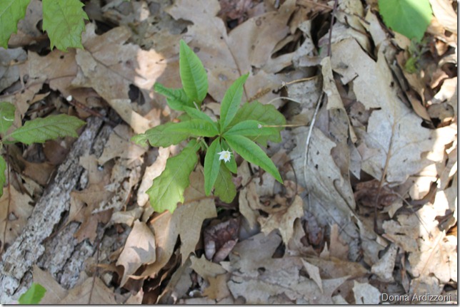 May 12, 2012 abcdefg 004