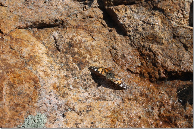 May 12, 2012 abcdefg 019