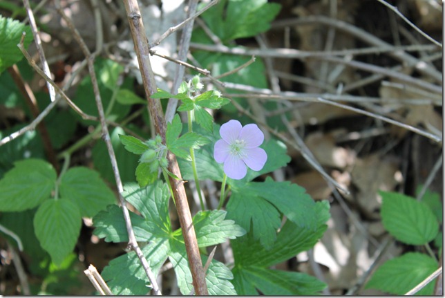 May 12, 2012 abcdefg 021