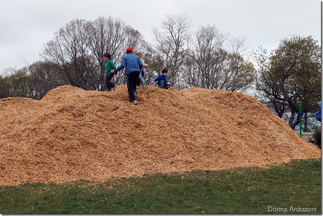 May 2, 2012 playing in the mulch pile