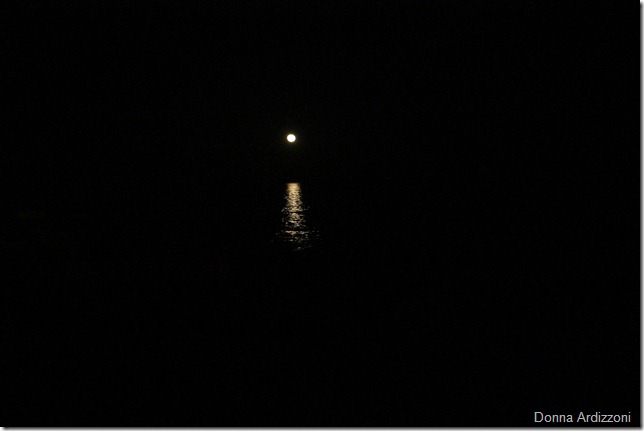 May 6, 2012 moona beacon in the darkness
