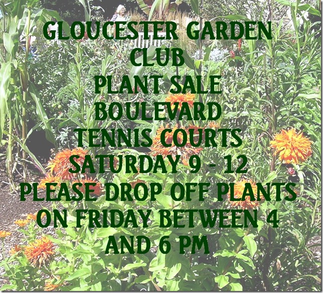 Plant sale notice