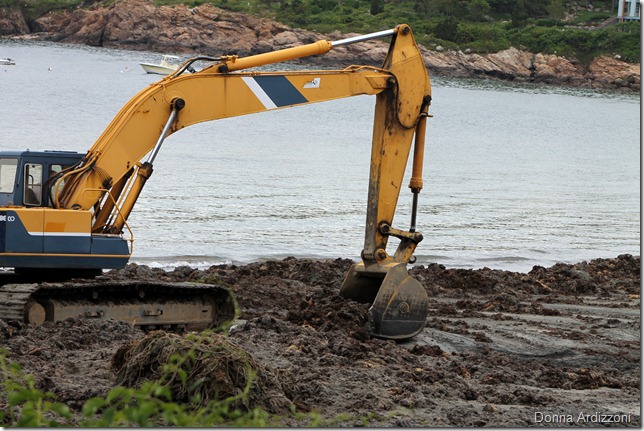 June 11, 2012 cleaning up the seaweed from the storm