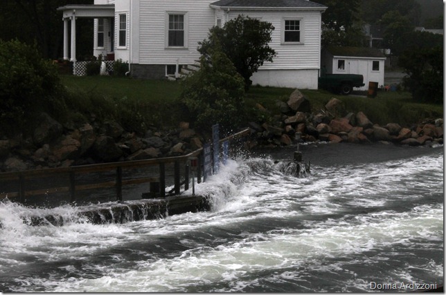 June 3, 2012 High Tide on a misty day