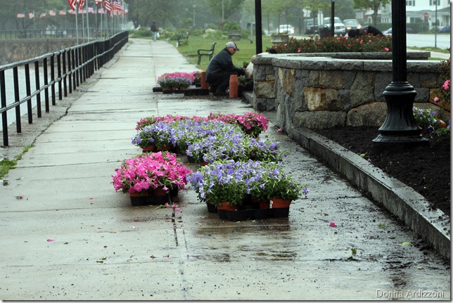 June 4, 2012 working hard in the Rain