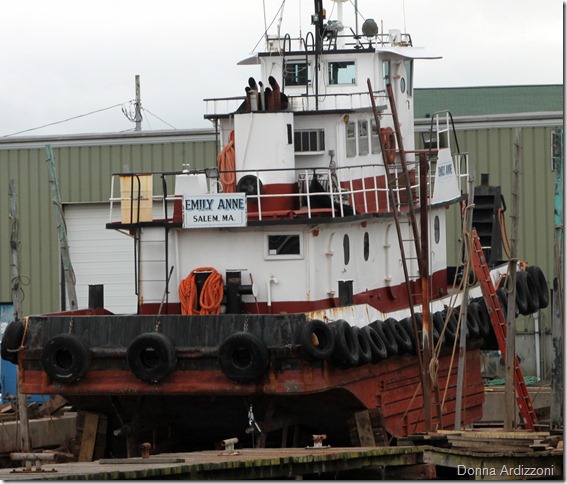 June 5, 2012 Emily Anne