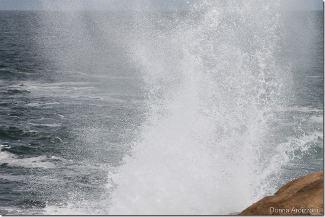 June 5, 2012 spray on the back shore