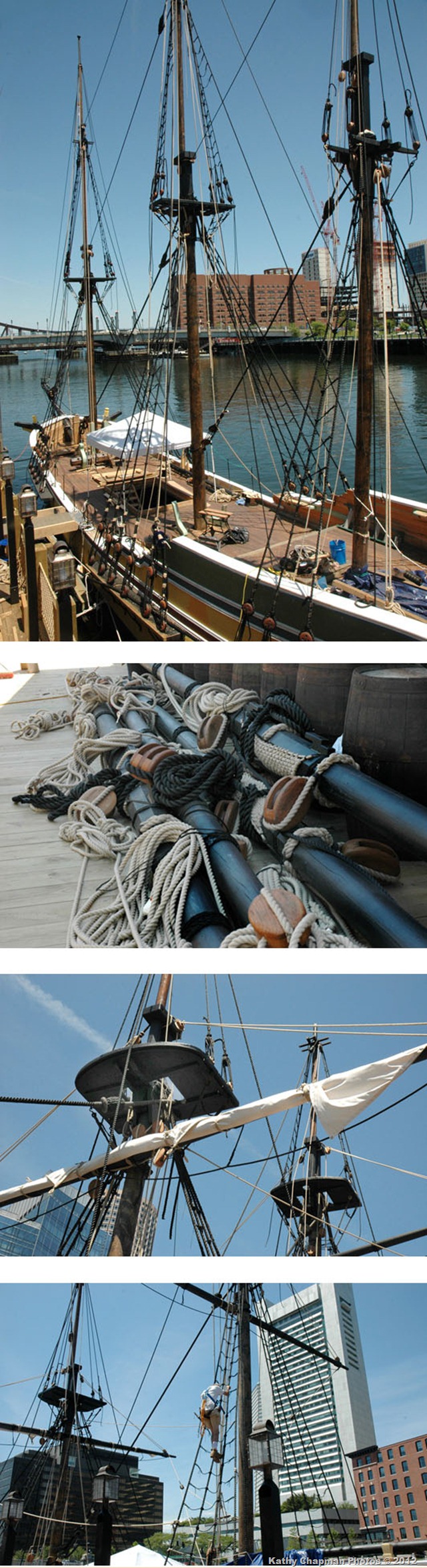 TeaPartyProgressChapman