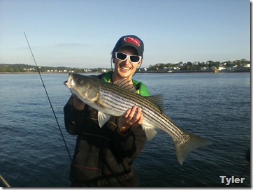 tyler striper