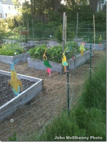 Veggie sculptures on the fence