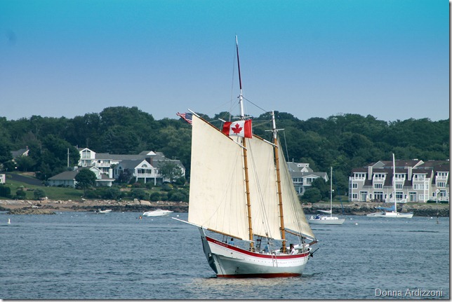 July 13, 2012 Our pretty Ardelle