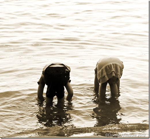 Little ones searching for treasures at the beach today