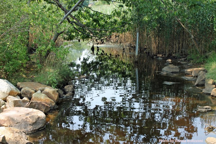 August 17, 2012 Peaceful Clark Pond