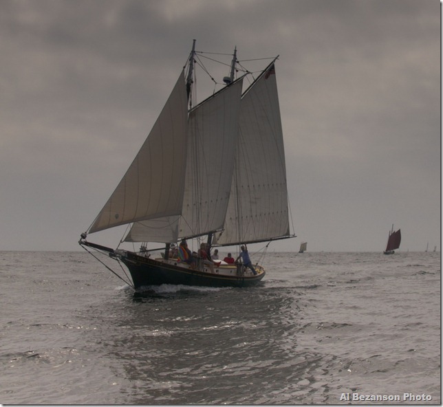 Bald Eagle, 2011 GSF