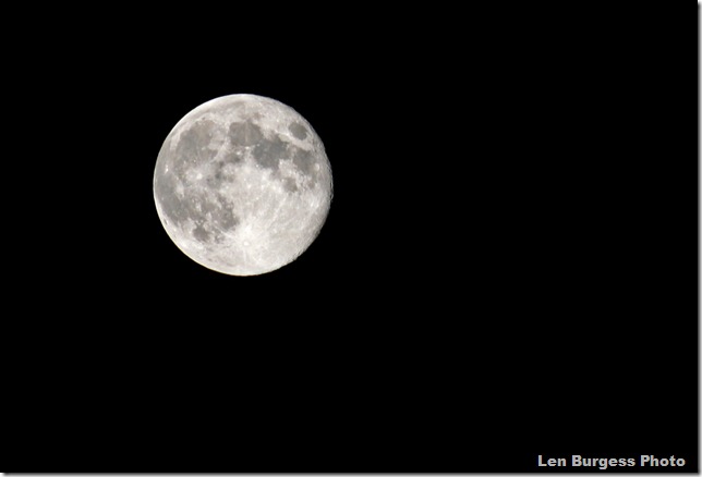 FullMoon8-2-12_2927