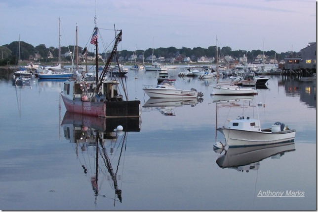 Reflections Of  Lobster Cove, Annisquam