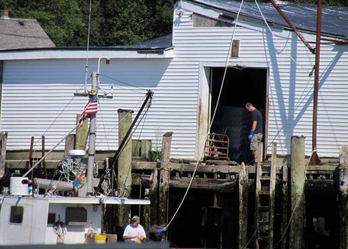 captain joe and sons