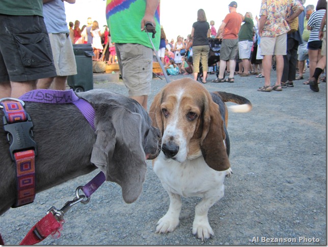 Maggie and Cooper at Ardelle launch