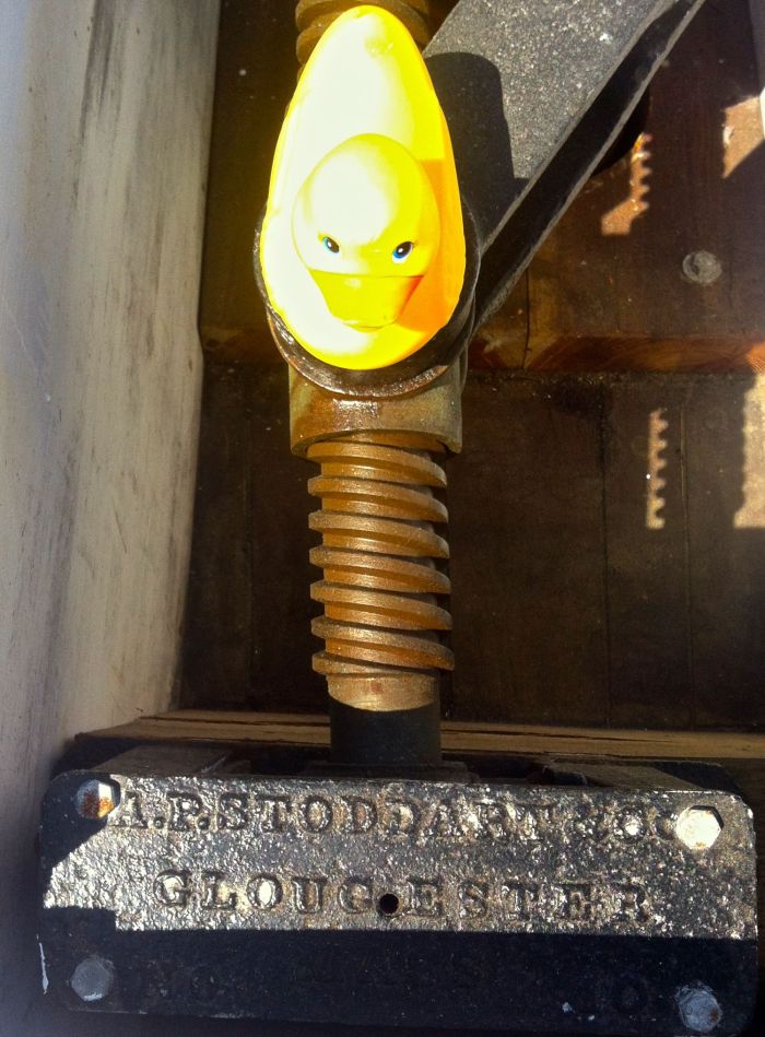 Where Is Rubber Duck?