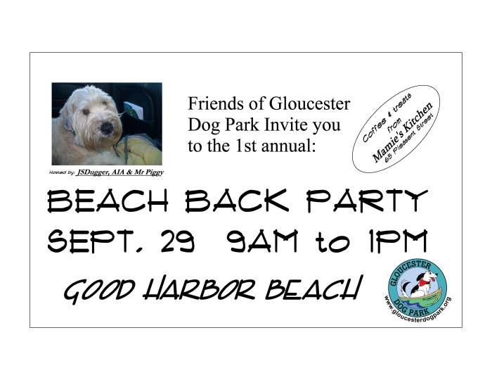 gloucester dog park, beach party