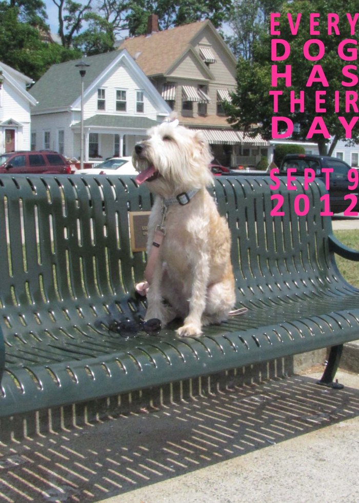 Dog Day, Cape Ann Animal Aid, Sept 9th