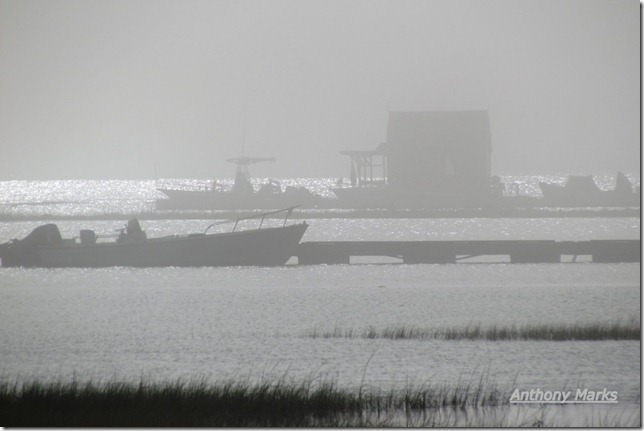 Houseboat in the fog