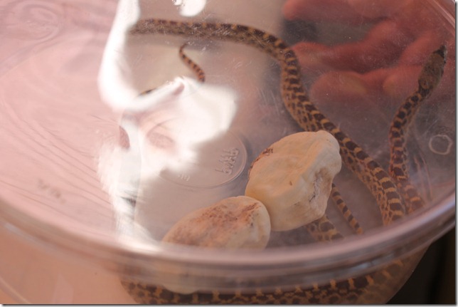 September 1, 2012 011