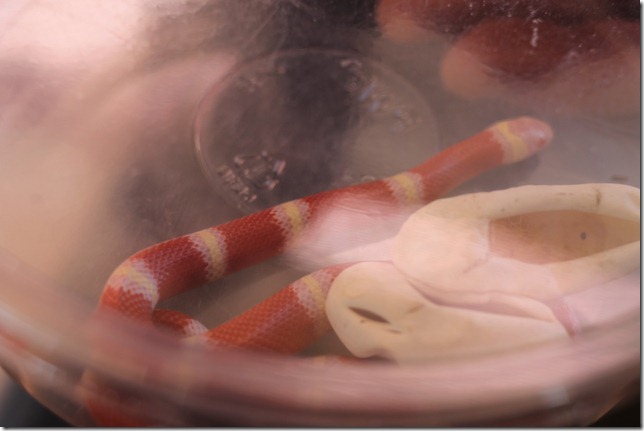 September 1, 2012 013