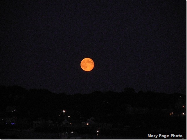 September 1, 2012 Parade of lights 027