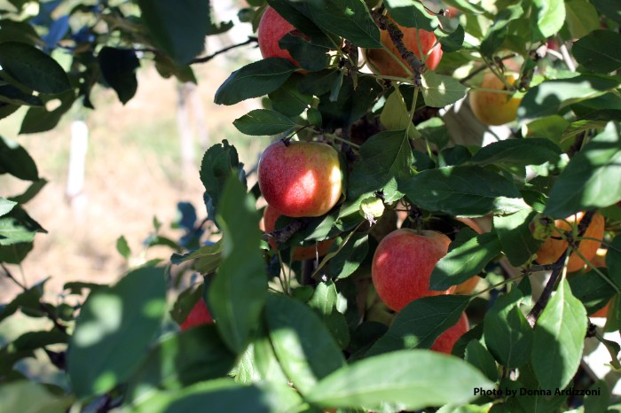 September 23, 2012 so good