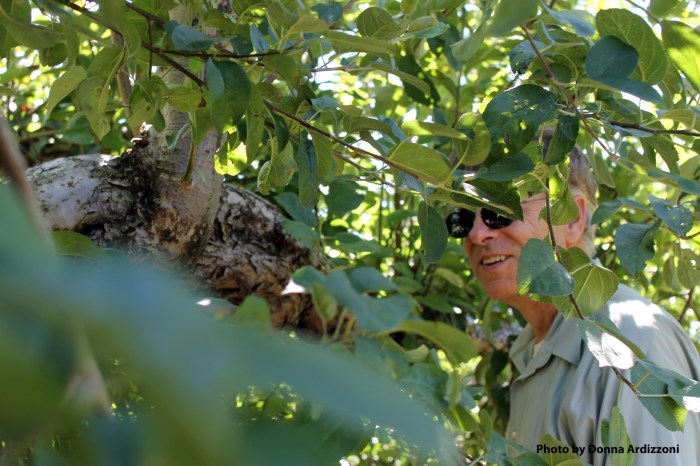 September 23, 2012 who is that man behind those Foster Grants