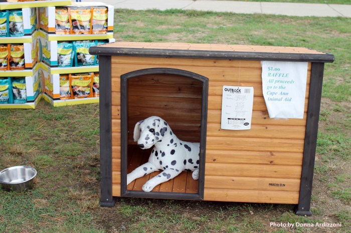 September 9, 2012 Dog park