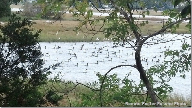 2012-10-01_14-18-31_286