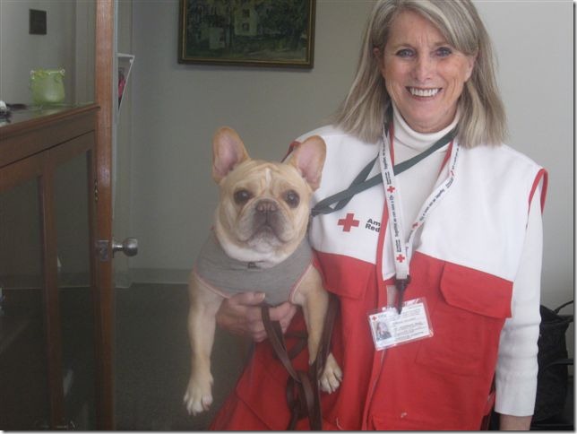 Deborah Gilbert with Therapy Dog Ivy