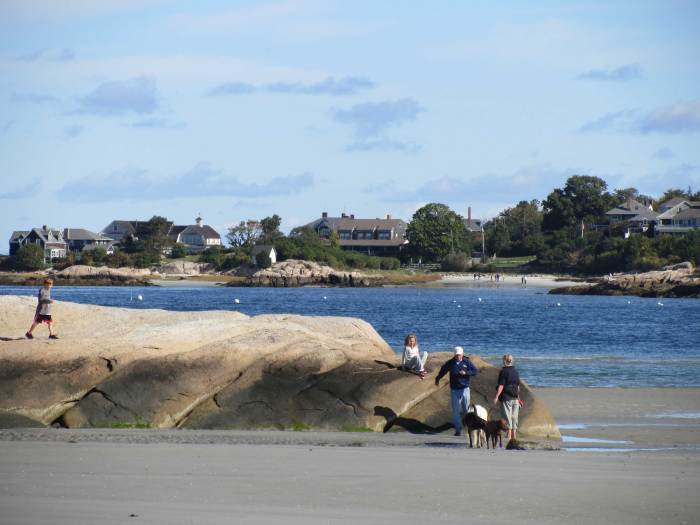 IMG_3334 wingaersheek beach, dogs