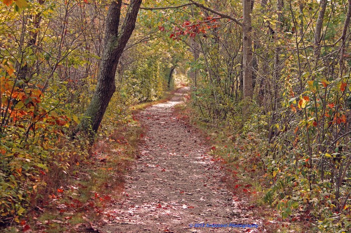 October 8, 2012 Walking to Ocean Lawn