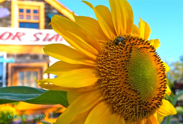 Shutter 1/280 Aperture 6/4 ISO 320