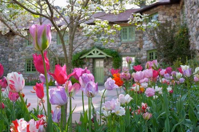 Willowdale Estate Spring 2012 © Kim Smith