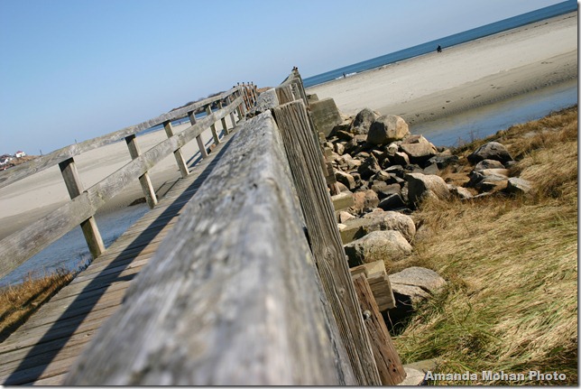 amandas beach photos 007