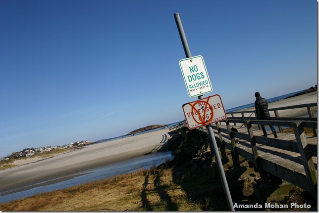 amandas beach photos 033